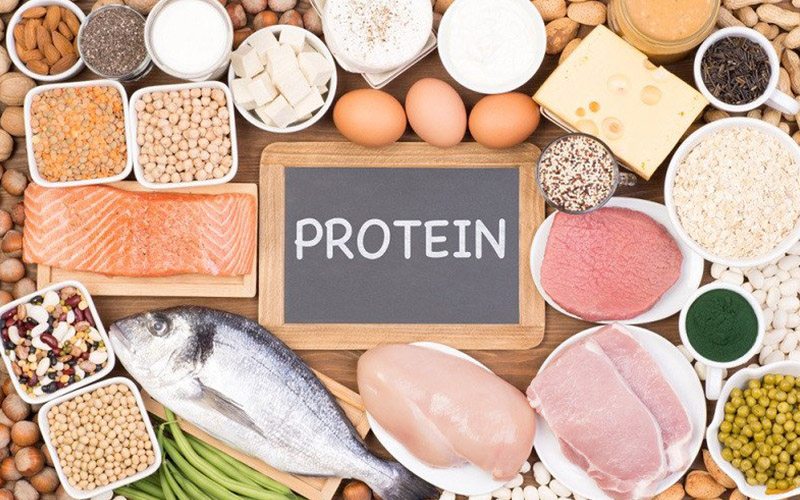 Protein có trong nhiều loại thức ăn